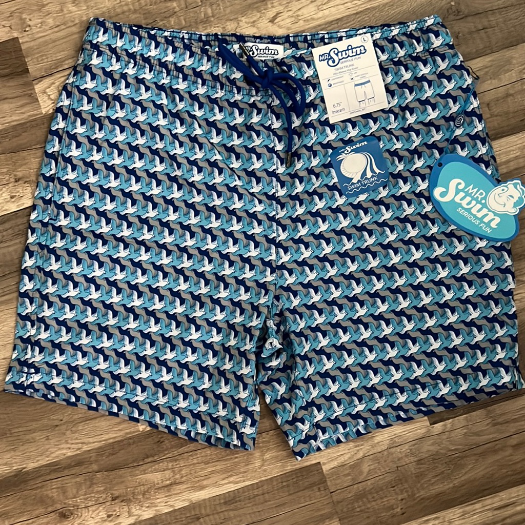 Mr Swim Mens Swim Trunks